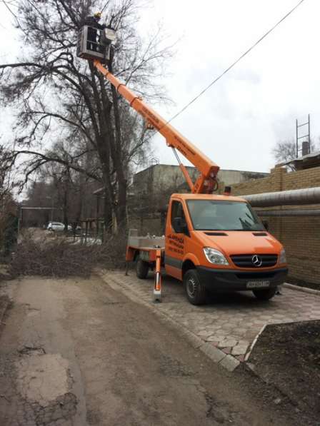 Удаление деревьев, измельчение веток в Краснодаре фото 3