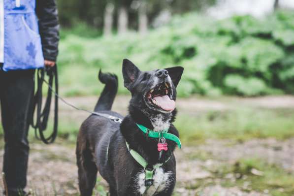 Уникальная Шерри в Москве фото 29