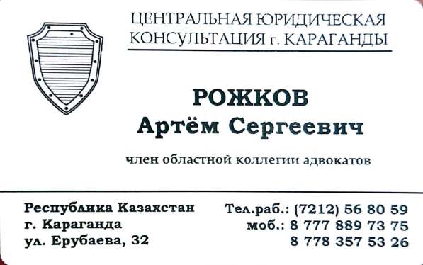 Адвокат по уголовным и гражданским делам в 