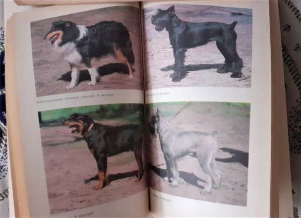Книга Зубко Воспитай щенка 1992 г в фото 3