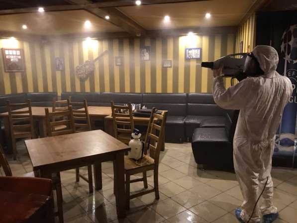 Уничтожение насекомых тараканы/клопы/осы/крысы/мыши/кроты в Москве фото 14