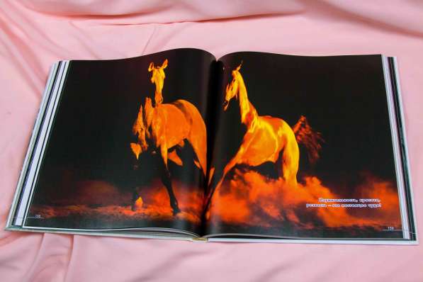 Книга-альбом про Ахалтекинцев, лошади, Туркмения в Москве фото 8