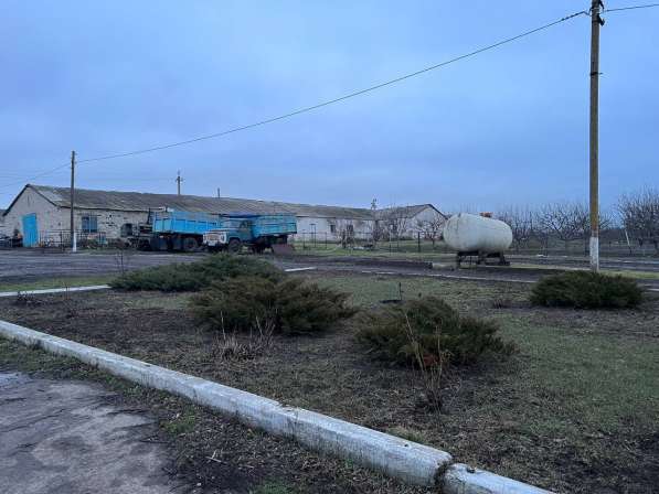 Агрохозяйство 452 гектара, Старобешево в фото 6