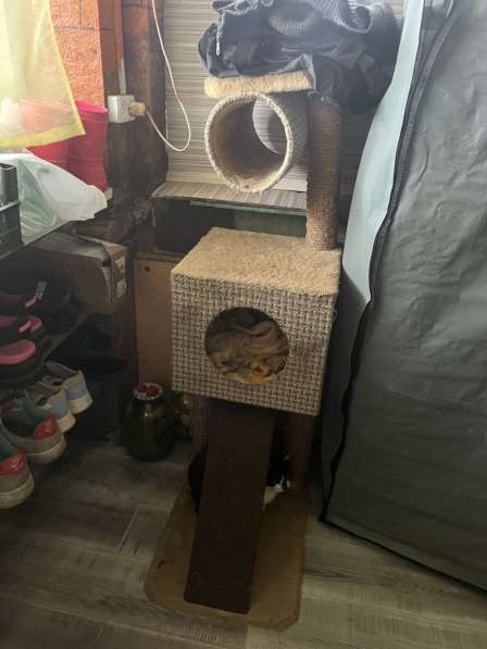 Дом для кота