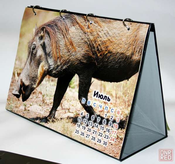 Календари 2026: квартальные, карманные, настольные,настенные в фото 5