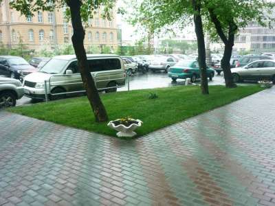 Рулонный газон "Универсальный" в Челябинске фото 9