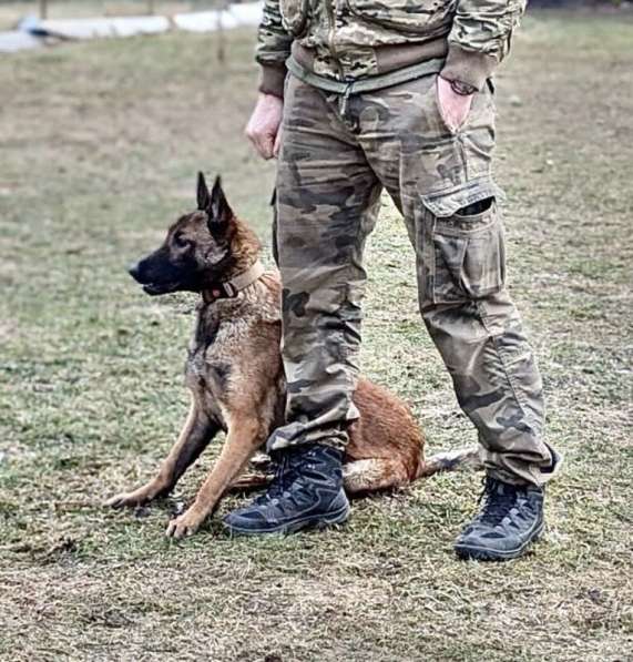 Красавчик Анзор ищет дом в Москве фото 7