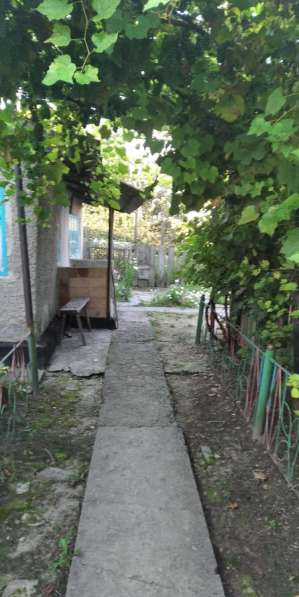 Продается дом в селе Пионерское (19 км от Луганска) в фото 3
