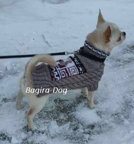Свитера для собак ручной работы в Москве фото 10