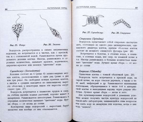 Аквариум+ Подборка книг_02 в фото 4