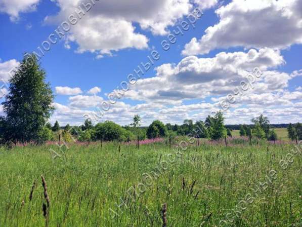 realty_mapper3.plot_in_locationСадовое некоммерческое тов-во. Площадь 12.00 сот.Есть Электричество. в Москве фото 7