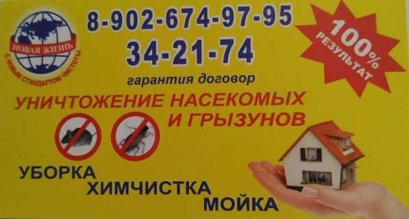 Клининг и уничтожение паразитов