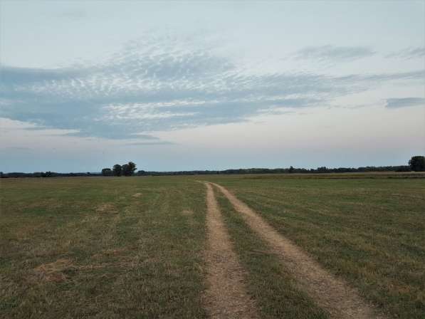 Продажа земельного участка сельхозназначения в Сергиевом Посаде фото 3