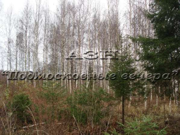 realty_mapper3.plot_in_locationСадовое некоммерческое тов-во. Площадь 7.50 сот.Есть Электричество. в Москве фото 10