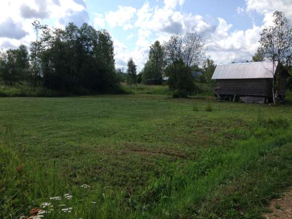 Участок 12 соток