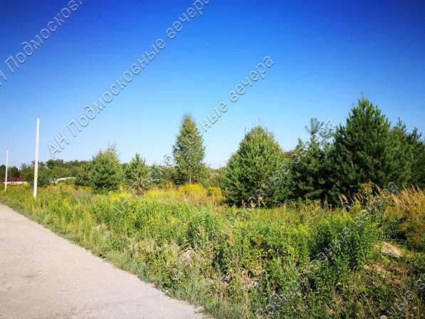 realty_mapper3.plot_in_locationИндивидуальное жилищное ст-во. Площадь 10.00 сот.Есть Электричество. в Москве фото 4