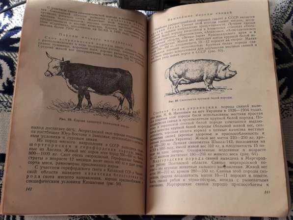 Основы животноводства для учащихся сельской школы. 1957 год в фото 7