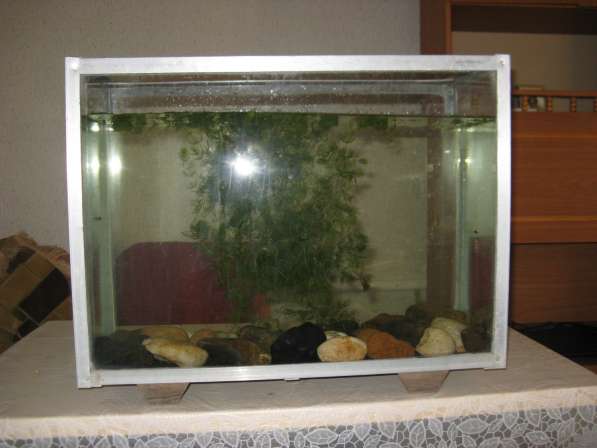 Продам аквариум, надёжный и крепкий, усиленный в Самаре фото 5