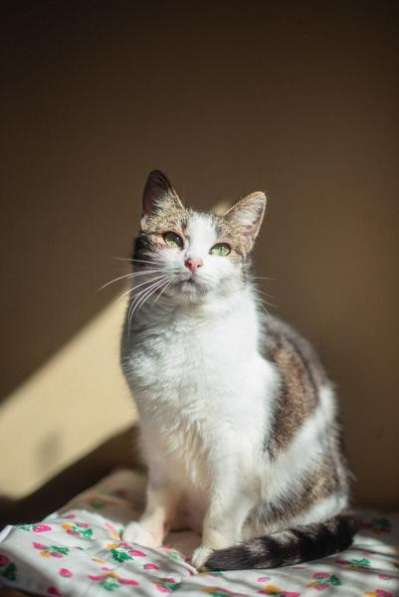 Очаровательная Ария ищет дом в Москве фото 6