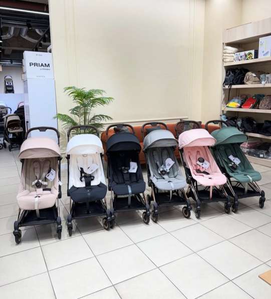 Прогулочная коляска Cybex coya