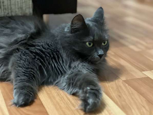 Шикарная Марси в фото 5