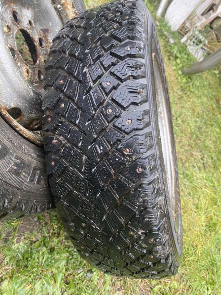 Шипованная зимняя