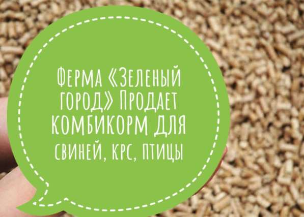 Ферма « Зелёный город» в Миассе фото 6