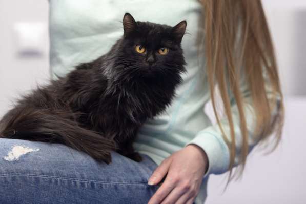 Красавец Пастернак ищет дом