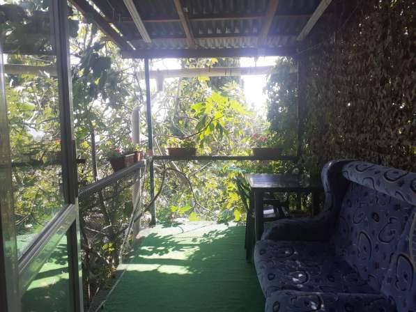 Отдельный номер с двориком в Симеизе в Ялте фото 59