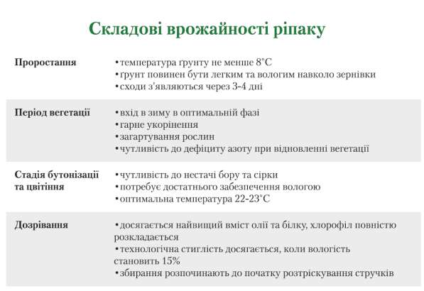 Семена подсолнечника Равелин (под гранстар) в фото 5