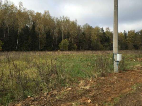 Продажа: земельный участок 11 соток в Пушкино фото 8