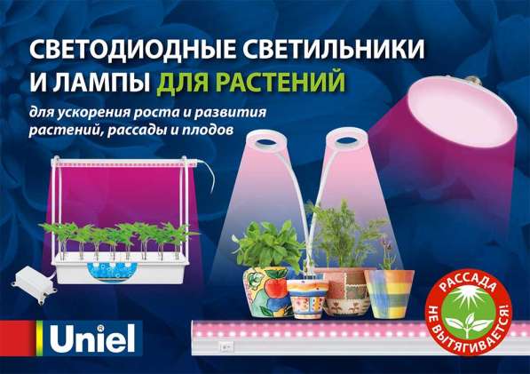 Фитолампы и фитосветильники в Тольятти фото 12