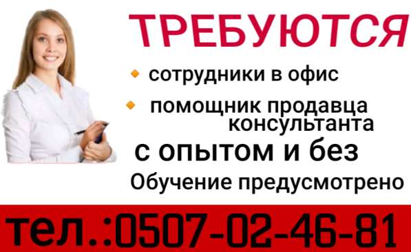 Сотрудники в офис