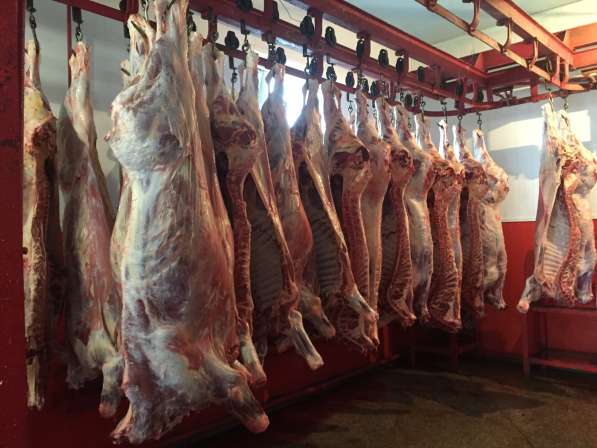 ОПТ. Мясо говядина от надежного поставщика с разумной ценой в Новосибирске