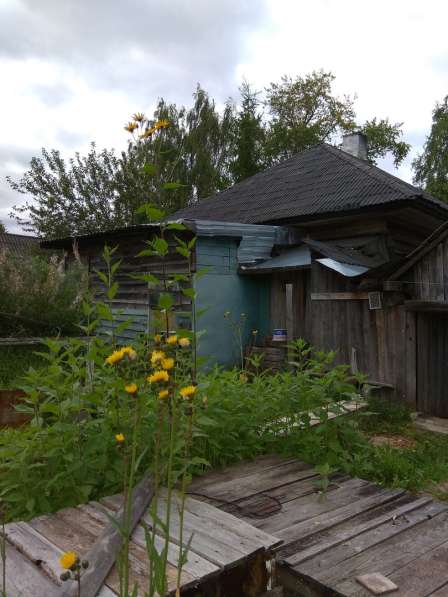 Дом с земельным участком 34 сотки в Кирове фото 11
