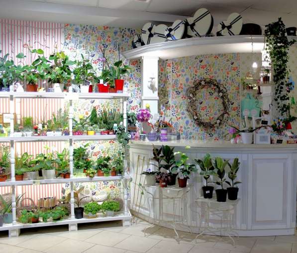Купите салон цветов в фото 6