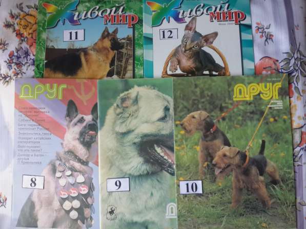 Экипировка для собак, книги в Москве