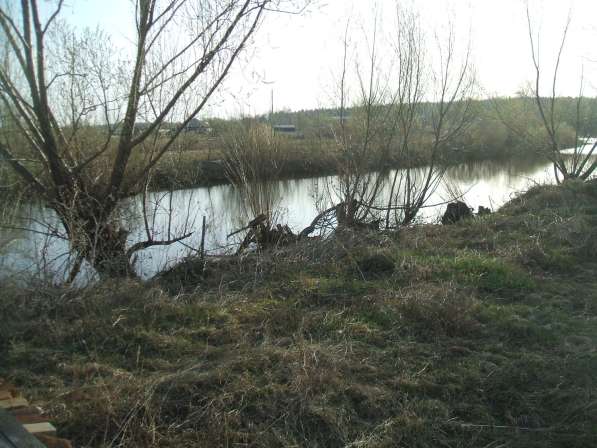 Продается дом у реки и участок 24 сотки в Алтайском крае в Барнауле фото 4
