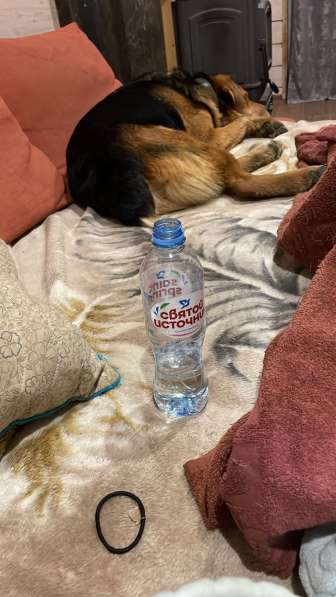 Эвакуатор 24 часа в Санкт-Петербурге фото 15