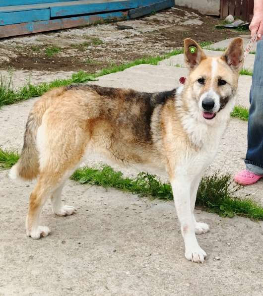 Супер позитивная девчонка Зира ищет своего ЧЕЛОВЕКА в Москве фото 3