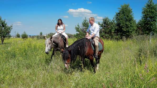 Конная прогулка в Красноярске фото 13