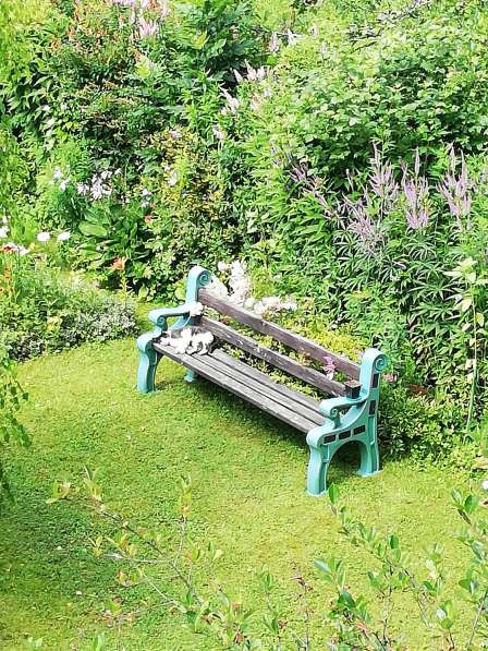 Ищем дом бездомному котику в Москве