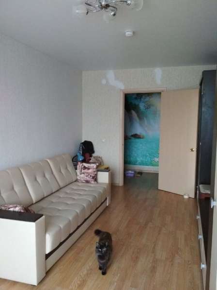 Однокомнатная квартира по сниженной цене в Вологде фото 3