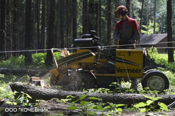 удаление опасных аварийных деревьев - кронирование - санитар в Москве фото 11