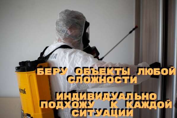 Уничтожение тараканов, клопов, грызунов, устранение плесени в Москве фото 4