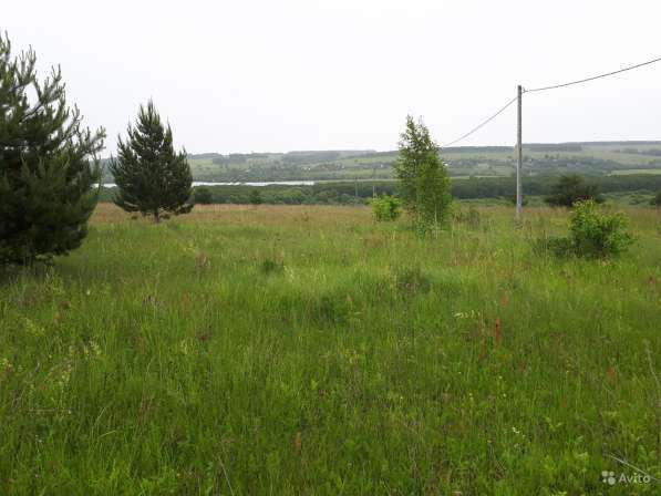 Участок 15 соток в Туле фото 19