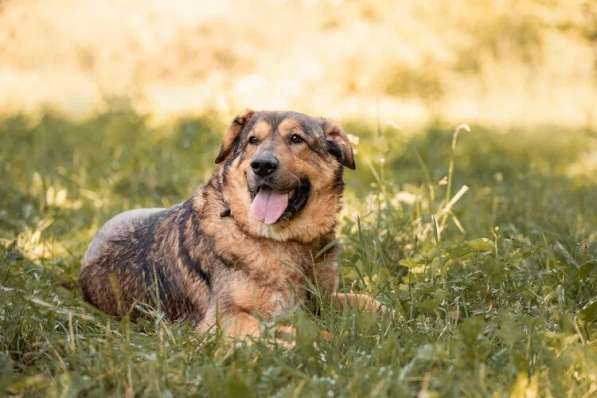 Макс ищет дом в Москве фото 8