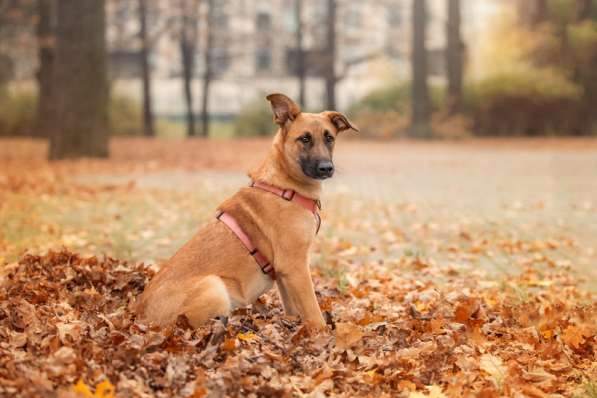 Чудесная Бриа ищет семью в Москве фото 25