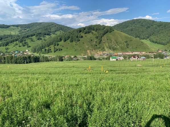Продам у часток в Горно-Алтайске фото 6