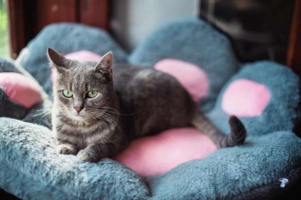 Нежная и ласковая Зоя ищет свою семью в Москве фото 4